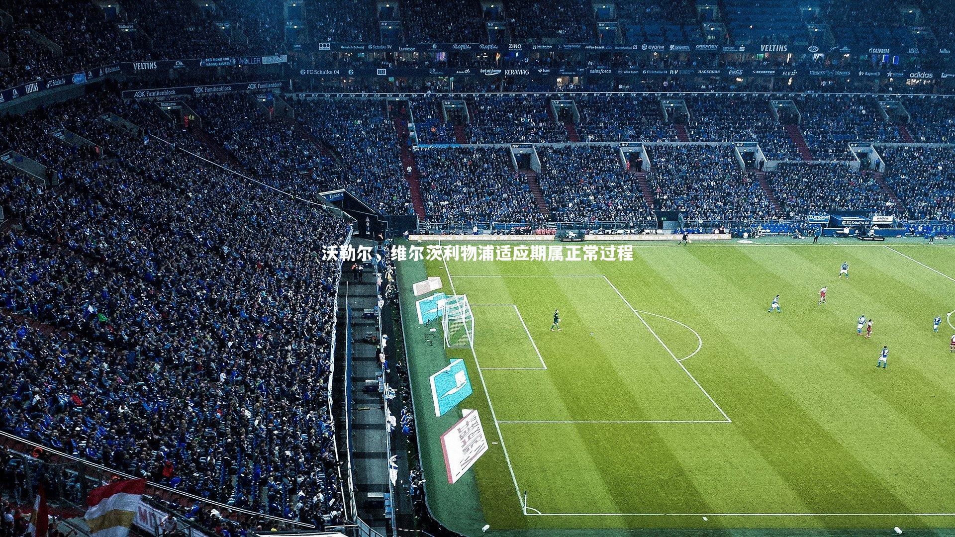 沃勒尔,维尔茨利物浦适应期属正常过程