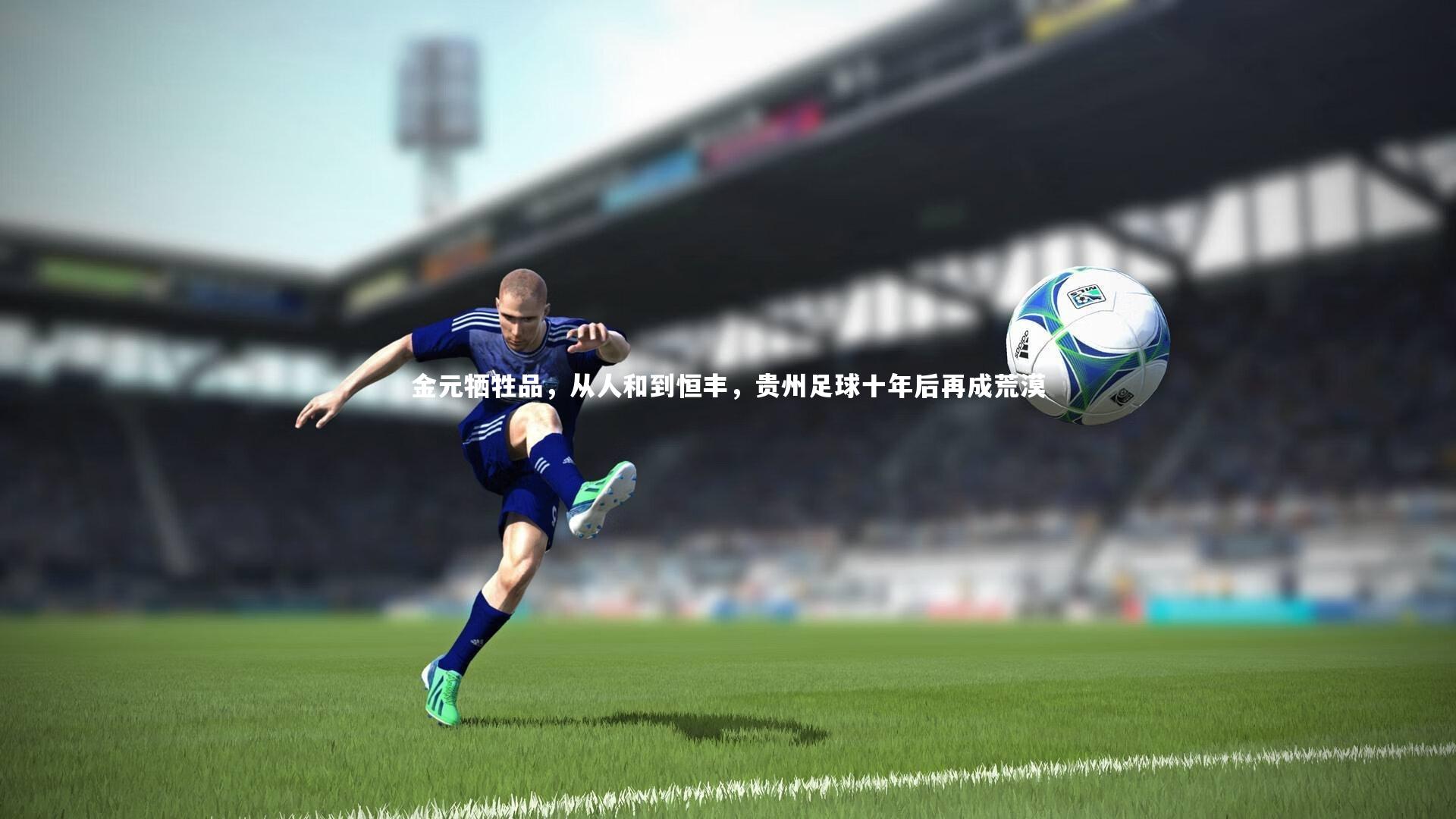 金元牺牲品,从人和到恒丰,贵州足球十年后再成荒漠